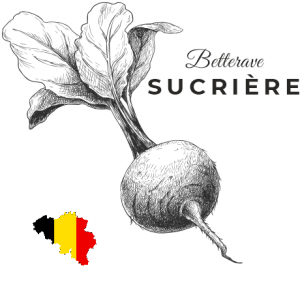Arrêté ministériel portant exécution de l’arrêté du Gouvernement wallon du 10 novembre 2016 relatif à la lutte intégrée en culture de betterave