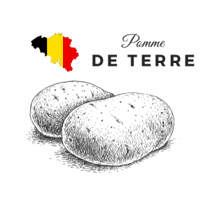 Arrêté ministériel portant exécution de l’arrêté du Gouvernement wallon du 10 novembre 2016 relatif à la lutte intégrée en culture de pommes de terre