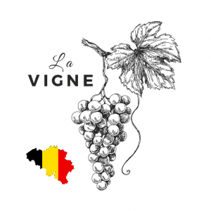 Arrêté ministériel portant exécution de l’arrêté du Gouvernement wallon du 10 novembre 2016 relatif à la lutte intégrée en viticulture