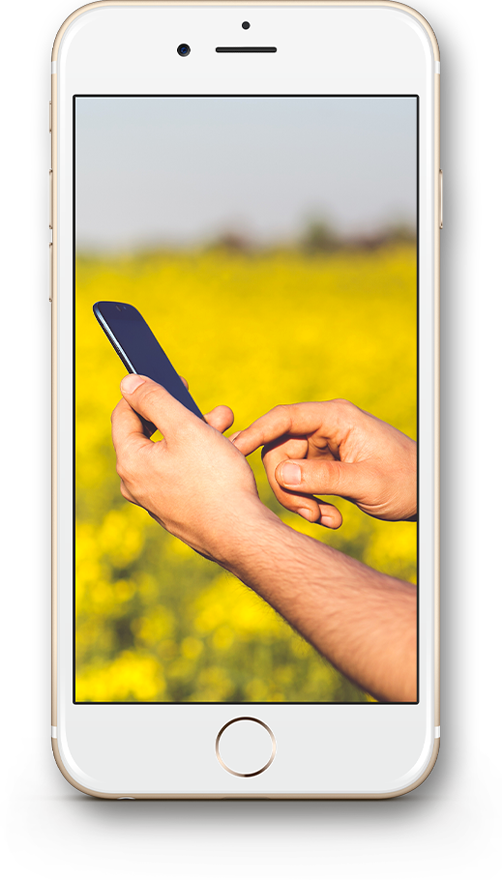 Illustration : utilisation d’un smartphone dans un champ